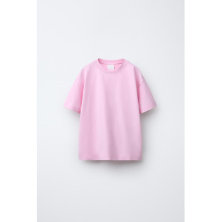 Brown bear - Vector graphics